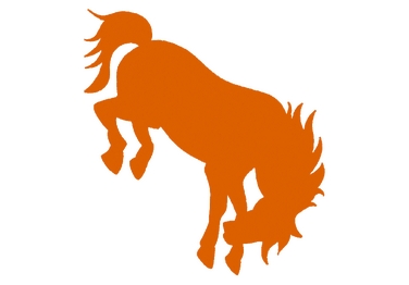 376x262 Know Your Opponent Texas Pan American