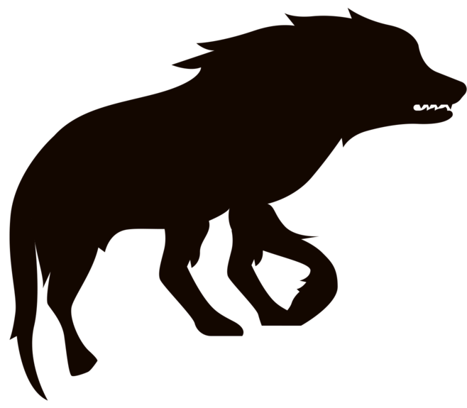 658x575 The Wizarding World Book O Graphic