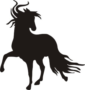 300x316 Custom Vinyl Decals