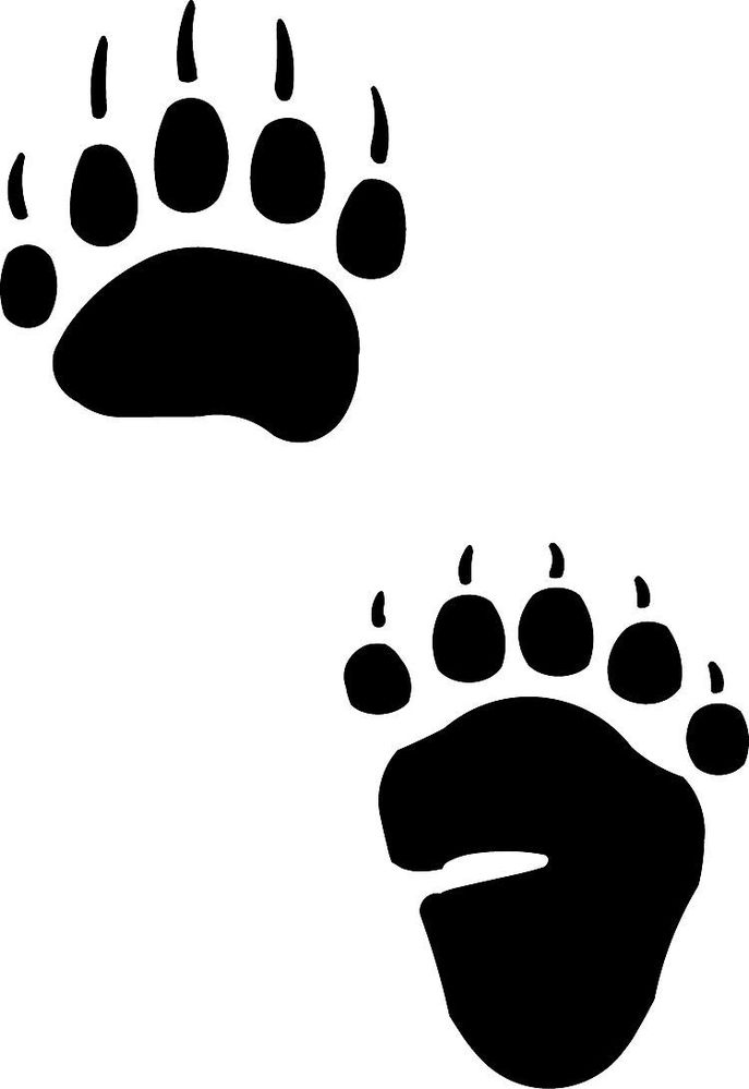 687x999 Bear Tracks And Grass Tattoo Native American Bear Paw Print