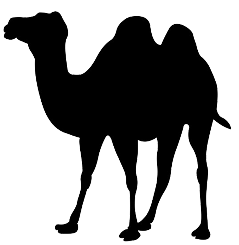 919x945 Clipart Camel Silhouette