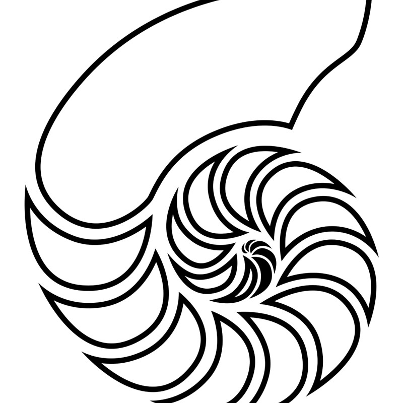 Nautilus Silhouette at GetDrawings | Free download