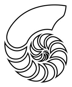 236x283 Nautilus Shell Outline Clip Art For Large Design On Wallceiling