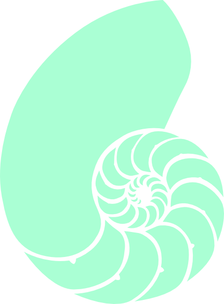 438x595 Seafoam Green Nautilus Clip Art