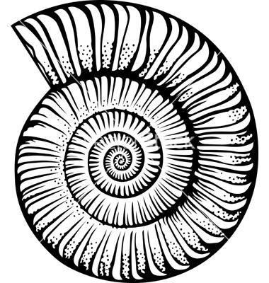 380x400 Seashell Silhouette Clipart Panda