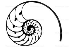 236x161 Silhouette Design Store