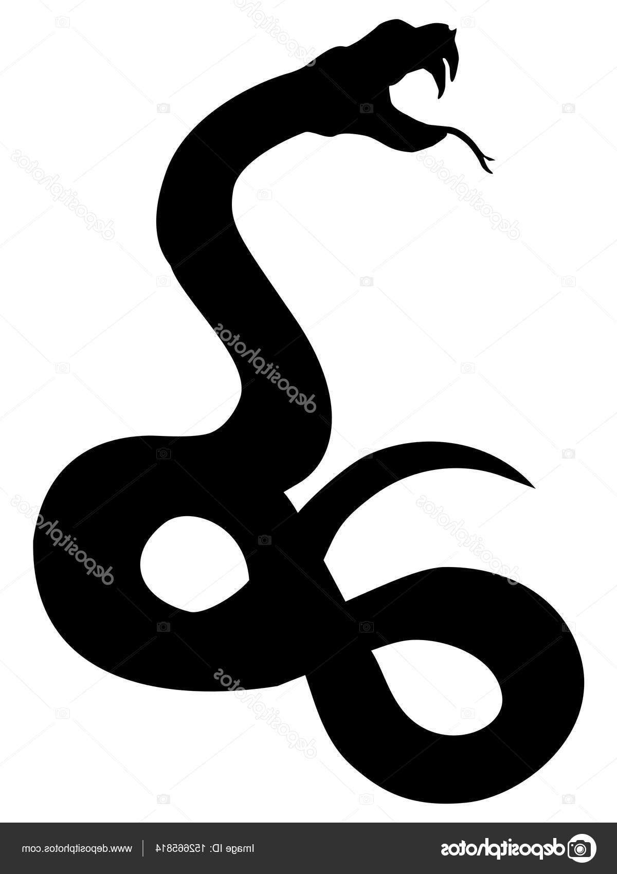 1200x1700 Top 10 Stock Illustration Silhouette Of Aggressive Snake Photos
