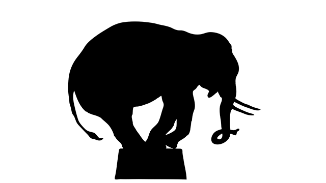 640x360 Escaped Elephant Takes A Stroll Through Wisconsin Neighborhood