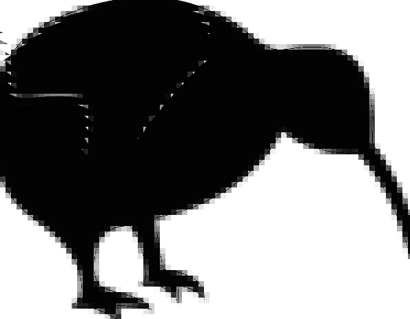 595x463 Kiwi, Outline, Birds, Natures, Silhouette, New Zealand, Wildlife