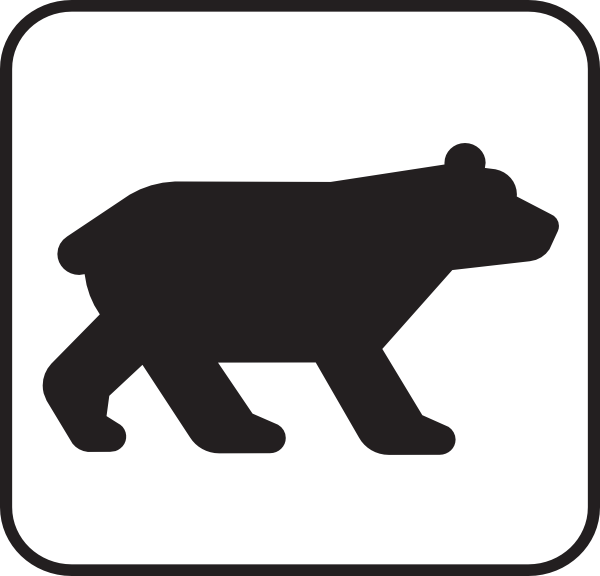 600x576 Bear Viewing White