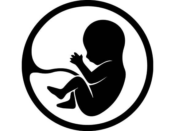 570x428 Pregnancy Belly Ultrasound Newborn Feed Little Infant Love