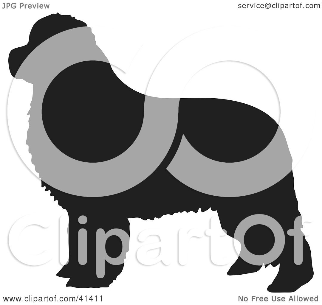 1080x1024 Clipart Illustration Of A Black Silhouetted Newfoundland Dog