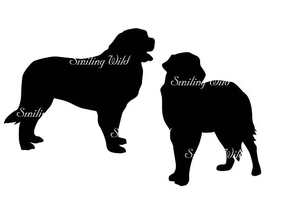 570x403 Leonberger Svg Silhouette Png Vector Graphic File Leonberger