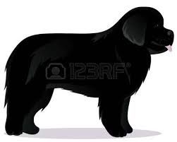 251x201 Resultado De Imagen Para Newfoundland Dog Silhouette Newforland