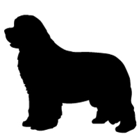 200x200 Best Friends Studios