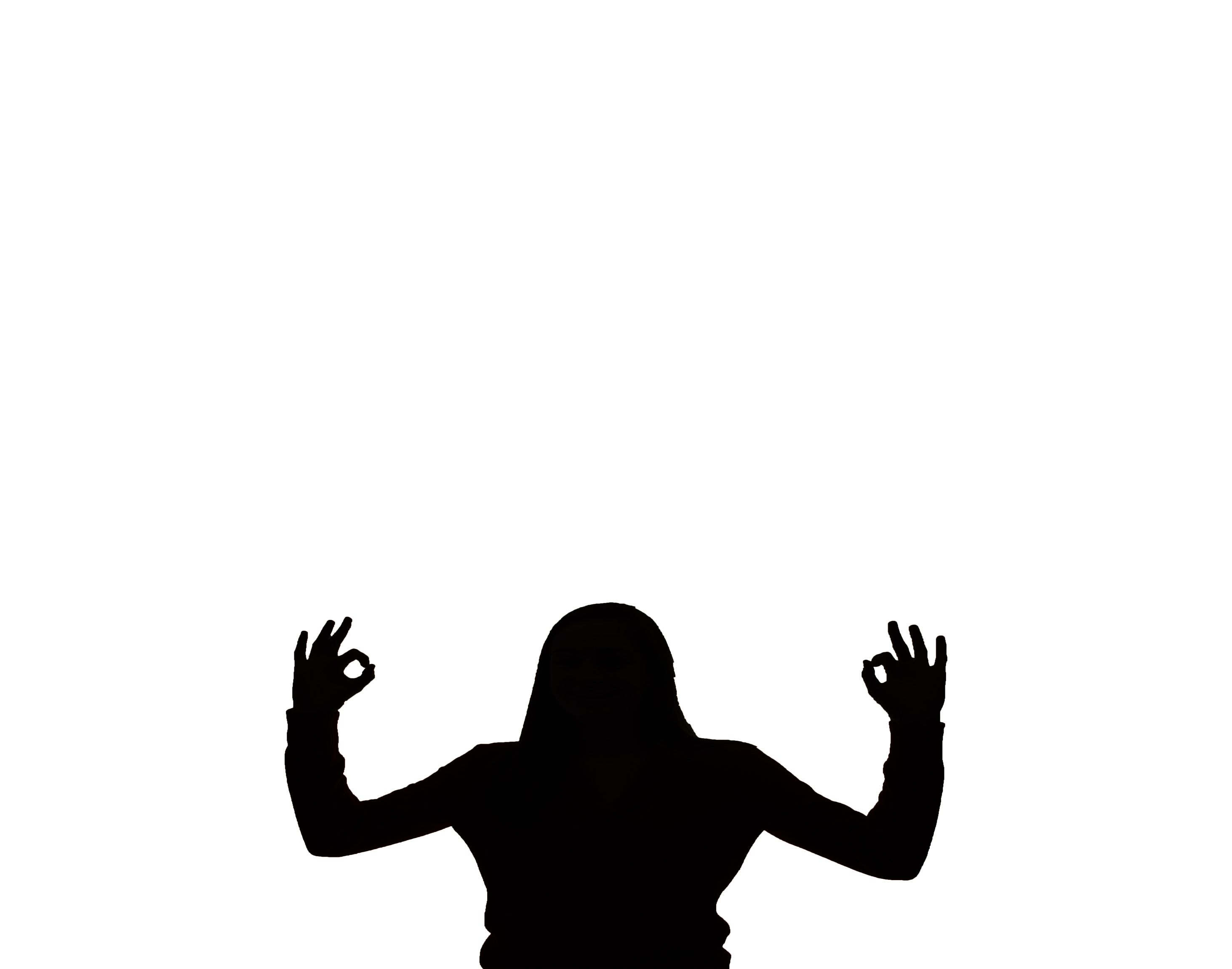 2926x2301 I Used This Silhouette Project To Take A Picture Of Myself And Put