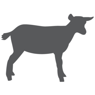 Nigerian Dwarf Goat Silhouette at GetDrawings | Free download