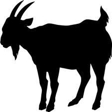 225x225 Nubian Goat Silhouette