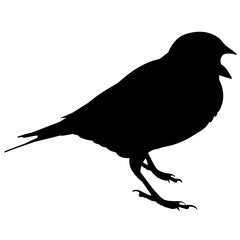 240x240 Nightingale Silhouette Vector Graphics