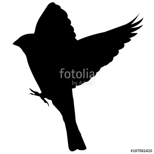500x500 Nightingale Silhouette Vector Graphics Stock Image And Royalty