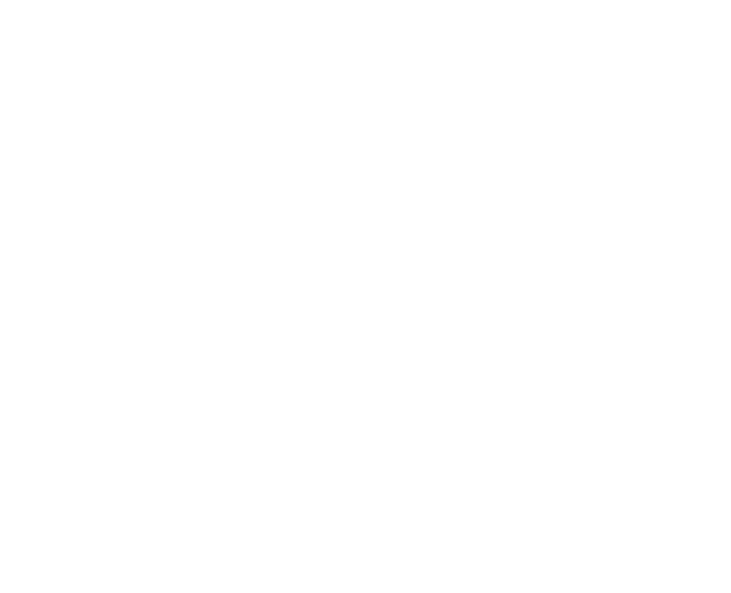 1024x830 Nightingale Silhouette By Paperlightbox