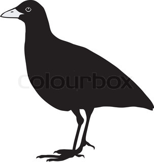 303x320 Silhouette Of Nightingale Stock Vector Colourbox