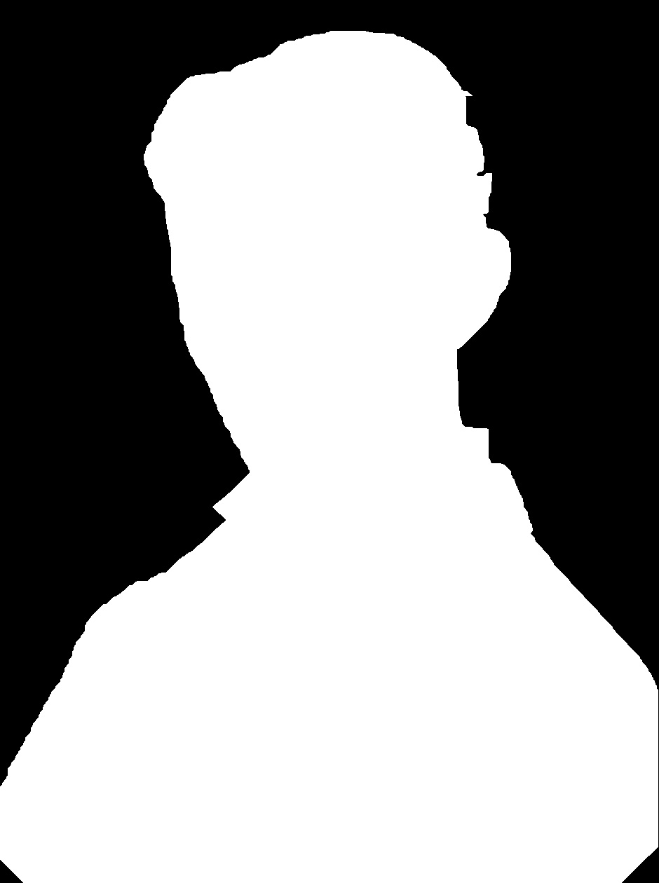 940x1260 Tesla Mask.jpg