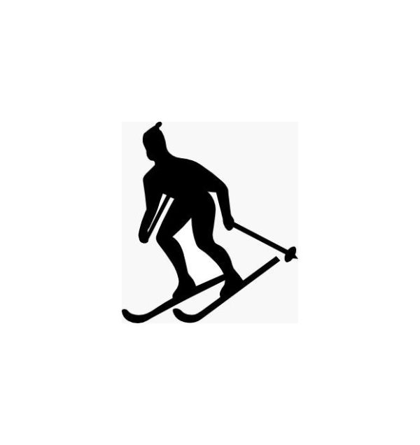 600x636 Silhouette Skier No.1 On Luulla