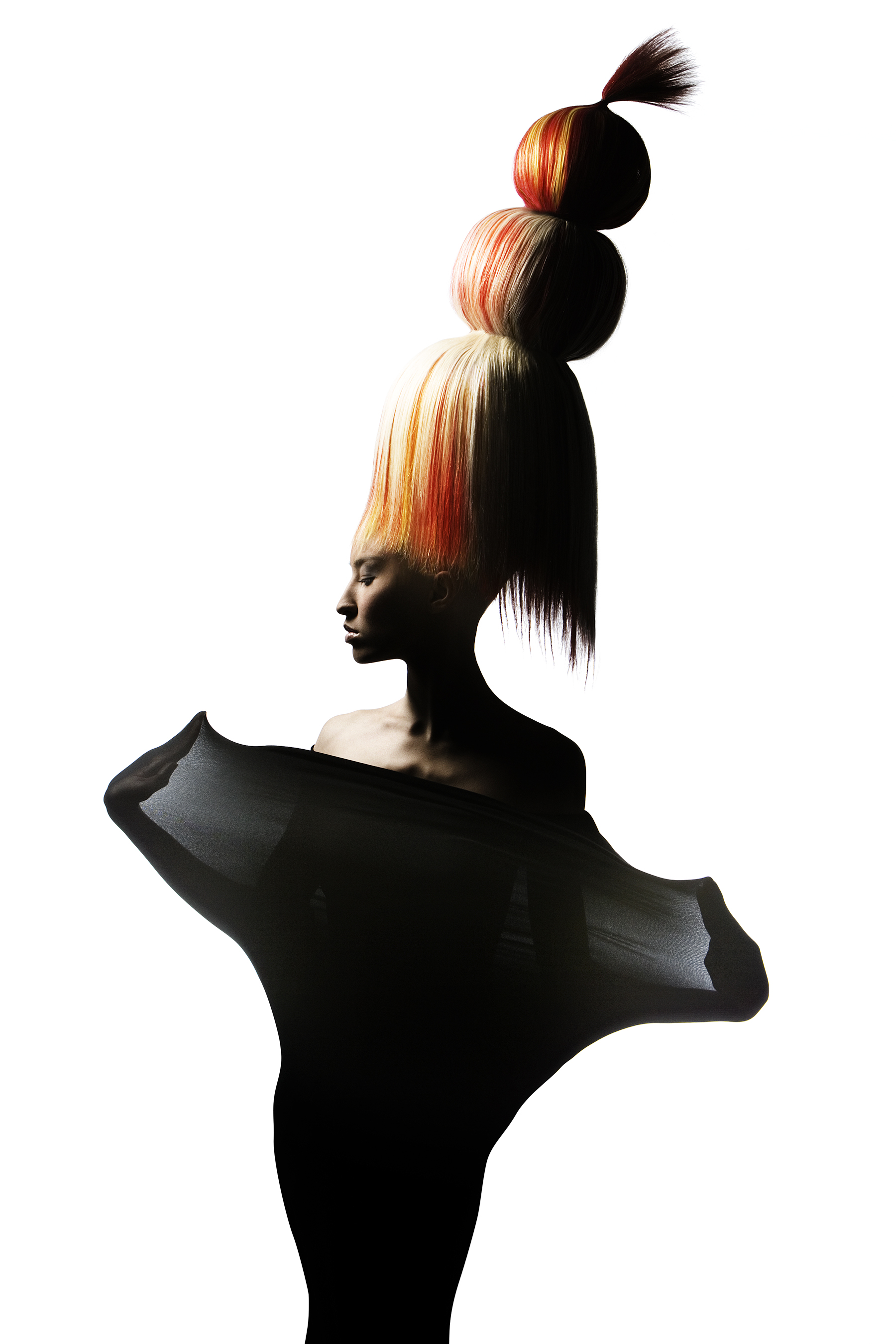 1800x2700 North American Hairstyling Awards (Naha)