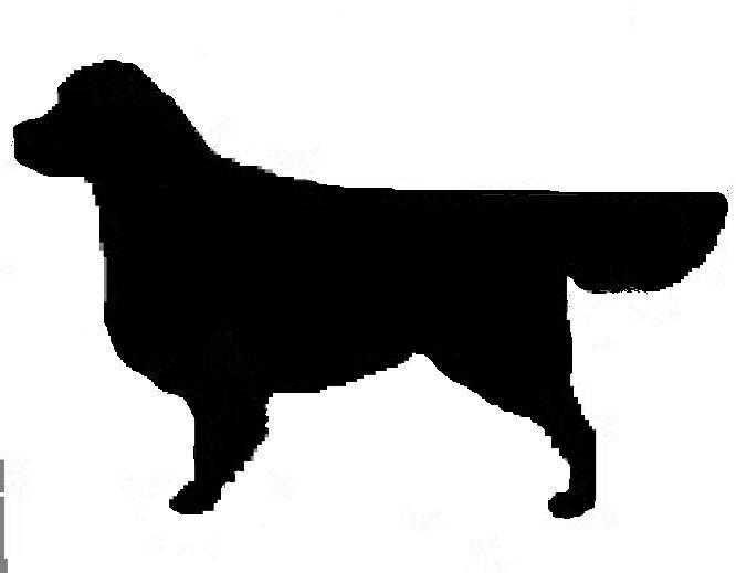 666x519 Desert Diamond Goldens