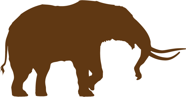 729x382 New York State Musuem The Cohoes Mastodon