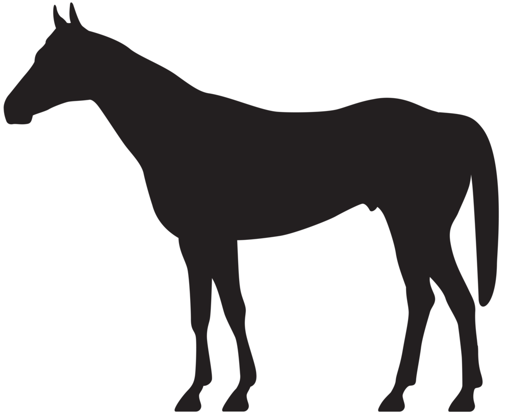 1000x823 Sideways Portfolio