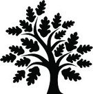 135x137 Oak Tree Silhouette Stock Vectors