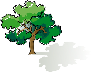 300x239 Live Oak Tree Clip Art