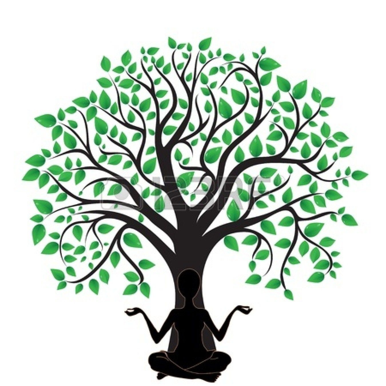 1350x1350 Oak Tree Silhouette Logo Clipart Panda Free Clipart Images Trees