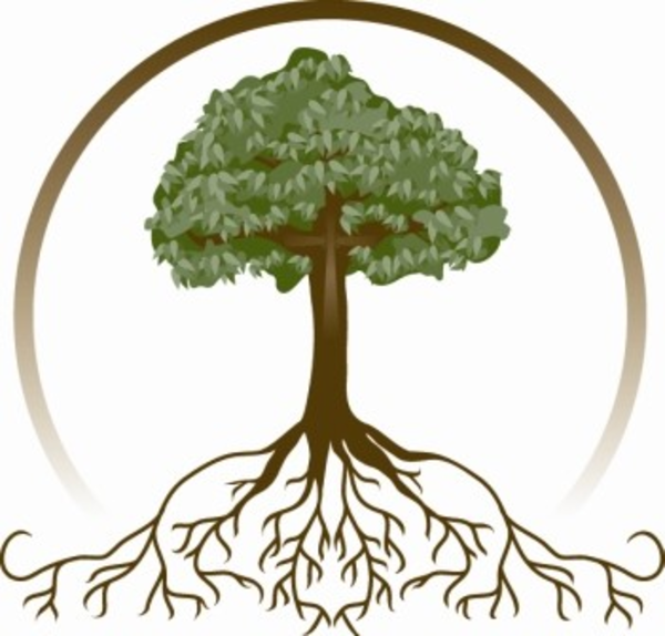 600x574 Oak Tree With Roots Clipart