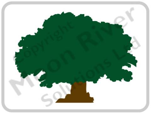 480x364 Oak Tree Logo Design For Including Full Copyright