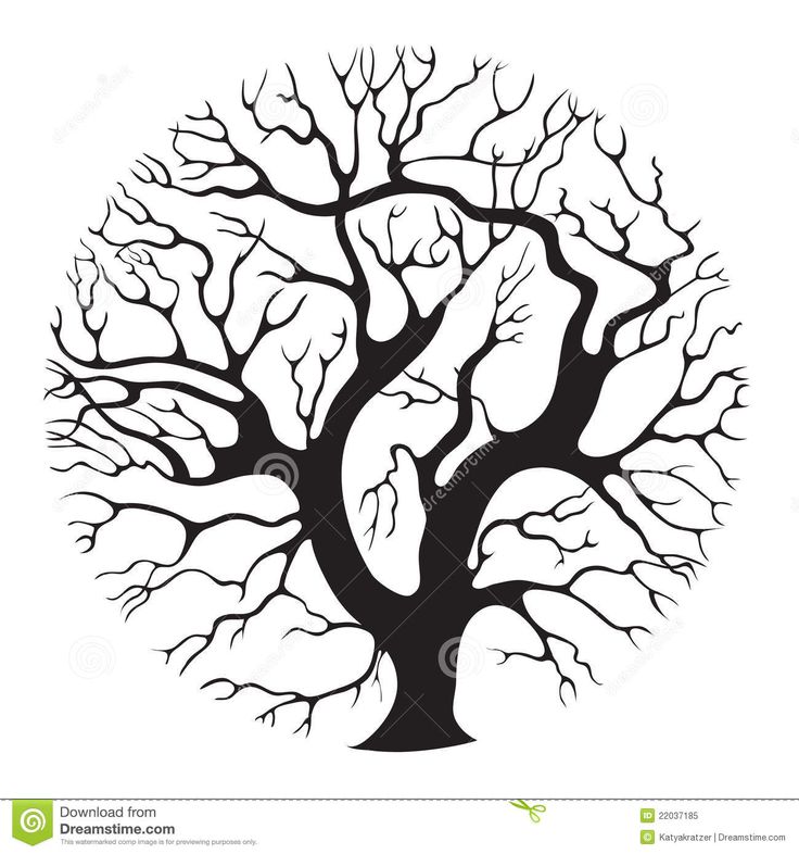 736x786 239 Best Trees Images On Cricut, Tree Of Life
