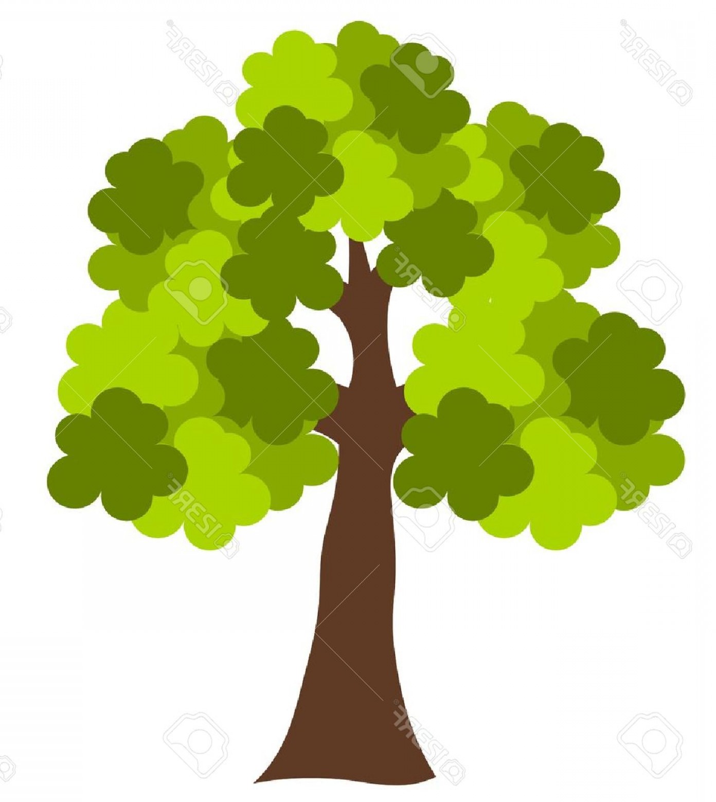 1392x1560 Live Oak Tree Vector Graphic Sohadacouri