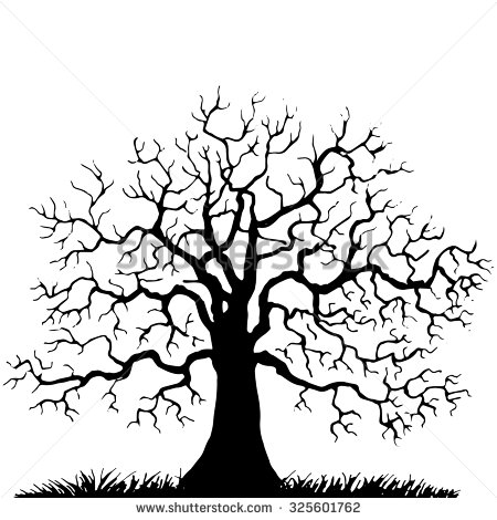450x470 Oak Tree Without Leaves Drawing