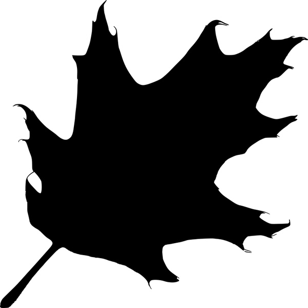 600x599 Oak Leaf Silhouette Free Vector In Open Office Drawing Svg ( Svg