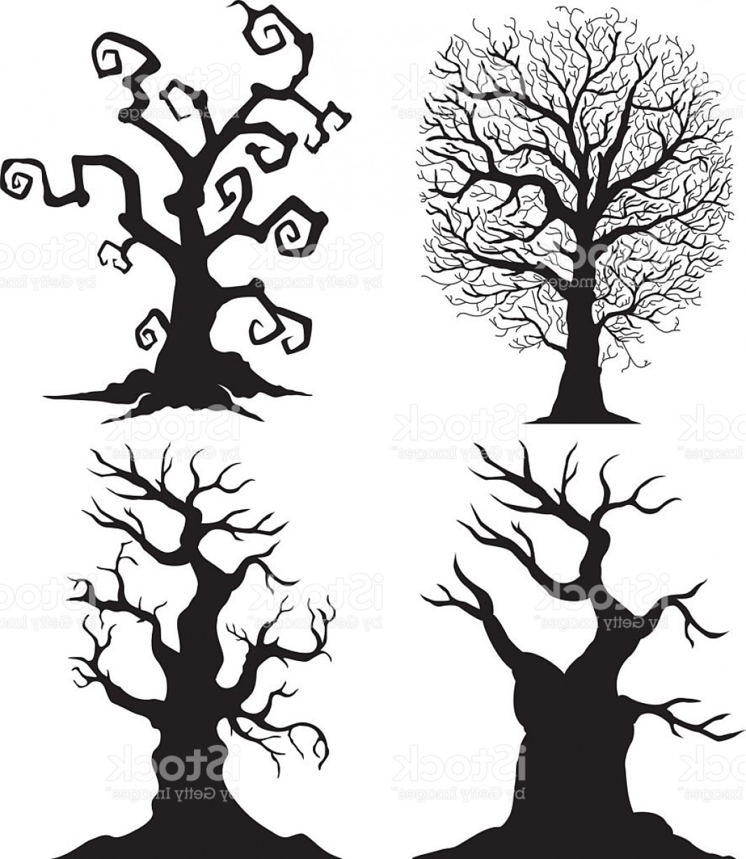 1066x1228 Scary Tree Silhouettes On The White Background Gm Createmepink