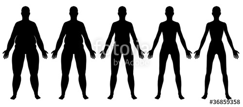 500x221 Obese To Skinny Female Silhouette Front View Stock Photo