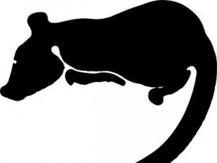 310x233 Female Silhouette Clip Art Free Vectors Ui Download