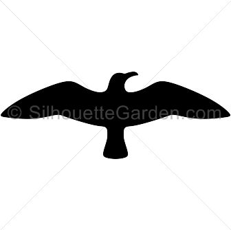 336x334 92 Best Sea Creatures Images On Turtles, Colouring