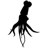 160x160 Octopus Silhouette Vector Graphics Stock Image And Royalty Free