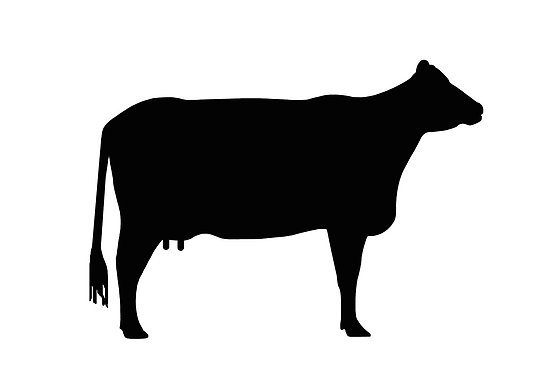 550x367 Cow Silhouette Clip Art Free Vector In Open Office Drawing Svg