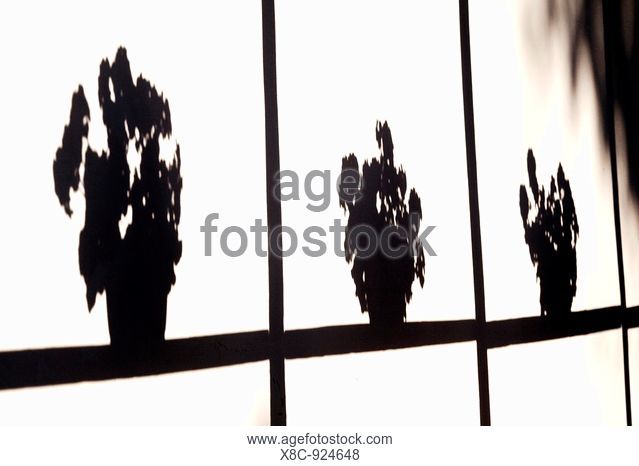 639x466 Nograd Stock Photos And Images Age Fotostock
