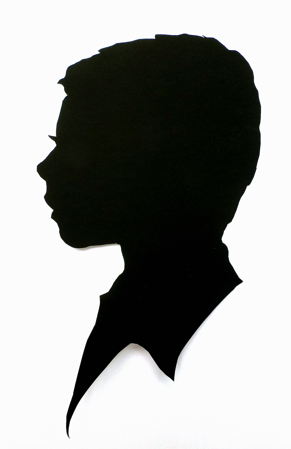 1000x1539 Silhouettes By Hand Examples