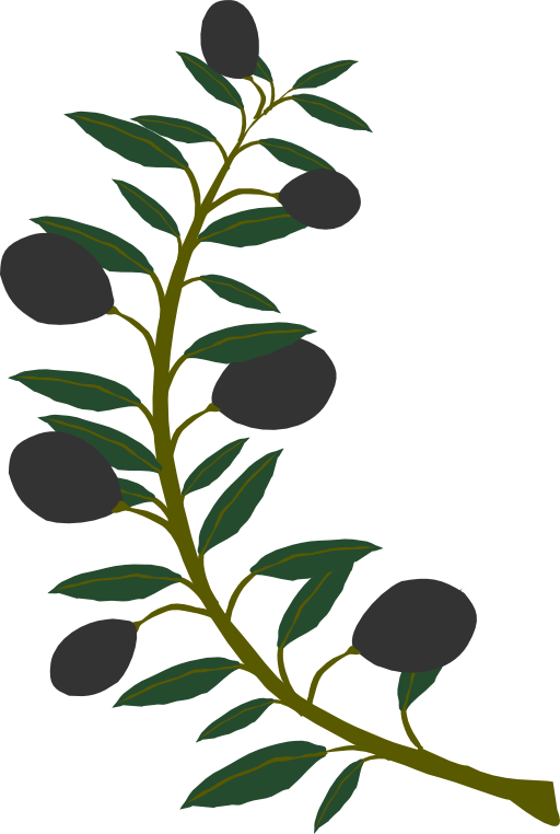 512x762 Olive Branch Black Olive Clipart I2clipart